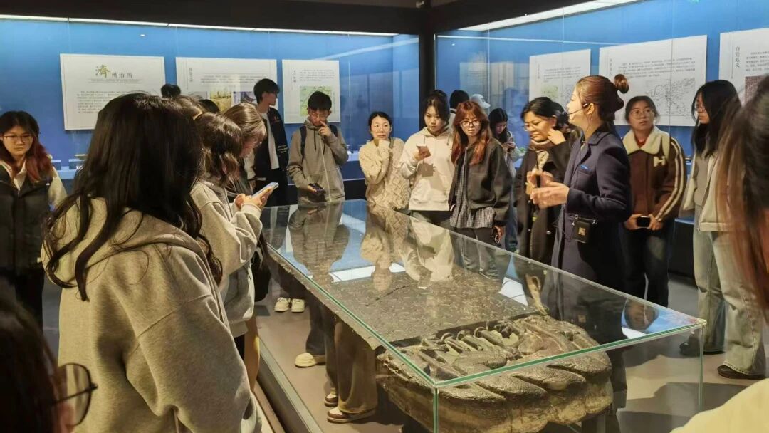 菏泽学院文博专业师生走进巨野博物馆，共话文博新声 巨博新闻 第2张